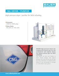 cng dryer / purifier - Safe Air Systems