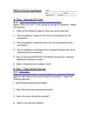 Say It With Dna Protein Synthesis Worksheet - Rna Protein Synthesis Worksheet Printable ...