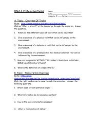 DNA & Protein Synthesis