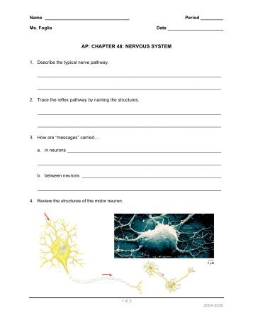 AP: CHAPTER 48: NERVOUS SYSTEM - Explore Biology