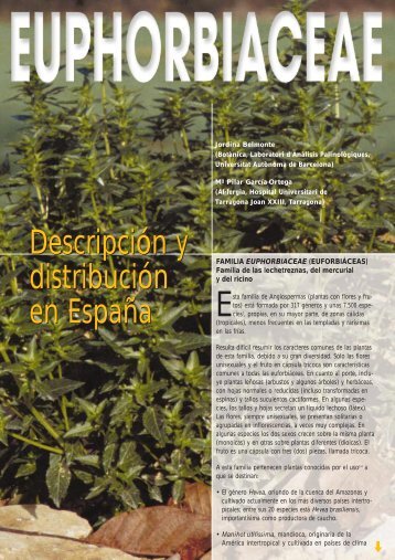 SCHERING (Euphorbiaceae #10) (Page 1) - LAP - Universitat ...