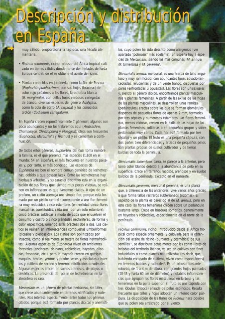 SCHERING (Euphorbiaceae #10) (Page 1) - LAP - Universitat ...