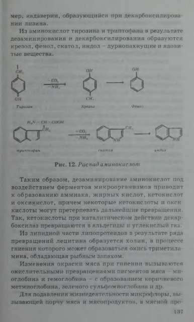 ÐÐÐÐ¥ÐÐÐÐ¯ ÐÐ¯Ð¡Ð Ð ÐÐ¯Ð¡ÐÐ«Ð¥ ÐÐ ÐÐÐ£ÐÐ¢ÐÐ