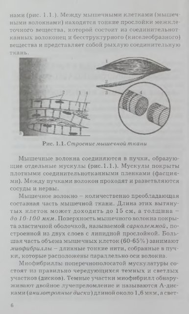 ÐÐÐÐ¥ÐÐÐÐ¯ ÐÐ¯Ð¡Ð Ð ÐÐ¯Ð¡ÐÐ«Ð¥ ÐÐ ÐÐÐ£ÐÐ¢ÐÐ