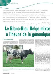 Le Blanc-Bleu Belge mixte Ã  l'heure de la gÃ©nomique - Association ...