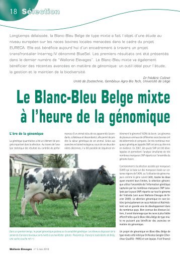 Le Blanc-Bleu Belge mixte Ã  l'heure de la gÃ©nomique - Association ...