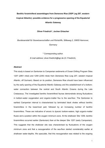 Benthic foraminiferal assemblages from Demerara Rise - Institut fÃ¼r ...