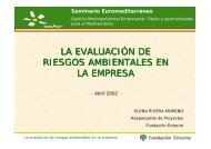 LA EVALUACIÃN DE RIESGOS AMBIENTALES EN ... - Pymes Online