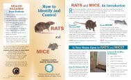 Rats and Mice Introduction - Fairfax County Government