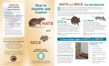 Rats and Mice Introduction - Fairfax County Government