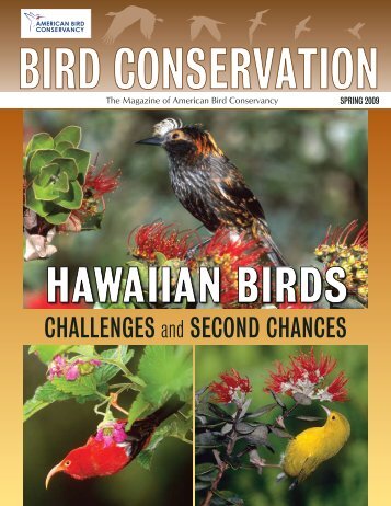 ChalleNGeS and SeCOND ChaNCeS - American Bird Conservancy