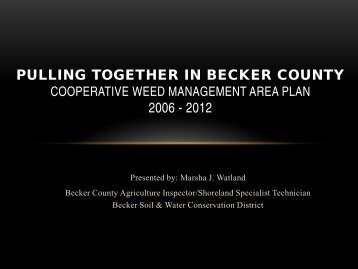 Pulling Together In Becker County Cooperative Weed Management ...