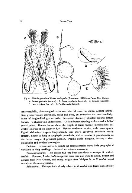 A Revision of the Old World Species (Lepidoptera, Pieridae)