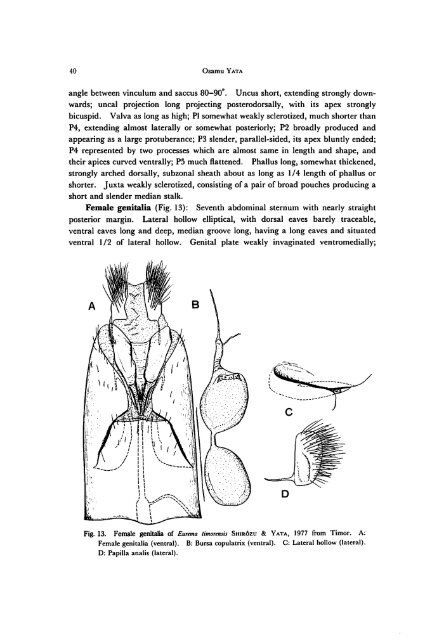 A Revision of the Old World Species (Lepidoptera, Pieridae)