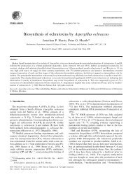 Biosynthesis of ochratoxins by Aspergillus ochraceus