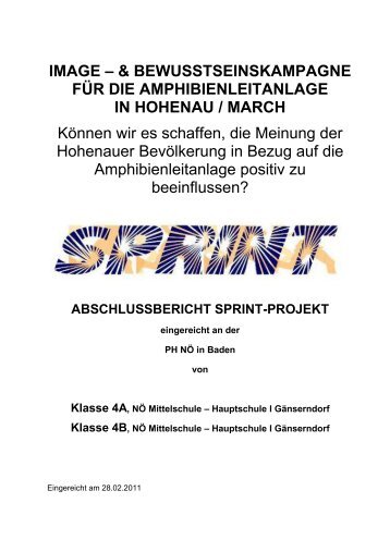 Abschlussbericht - sprint