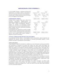 MONOGRAFIA VITIS VINIFERA L. - Monoselect.it