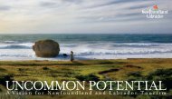 Uncommon Potential: A Vision for Newfoundland and Labrador ...