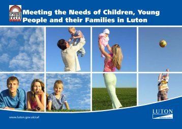 Meeting the Needs of Children, Young People and their Families in ...