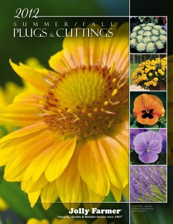 Plugs & Cuttings - Jolly Farmer Products