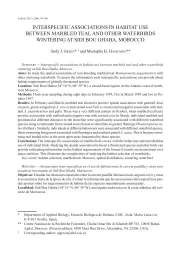 Green, A.J. y El Hamzaoui, M. 2006 - EstaciÃ³n BiolÃ³gica de DoÃ±ana