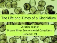 The Life and Times of a Glochidium
