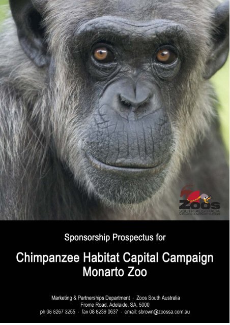 The Chimpanzee Habitat Capital Campaign - Zoos South Australia