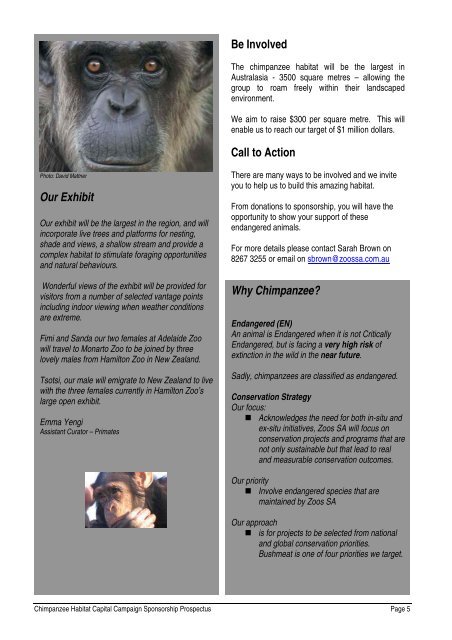 The Chimpanzee Habitat Capital Campaign - Zoos South Australia