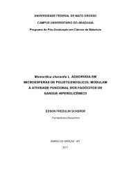 PDF/EdsonFredulinScherer.pdf - Campus Universitário do Araguaia ...