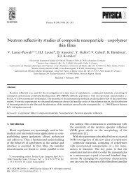 Neutron reflectivity studies of composite nanoparticle â copolymer ...