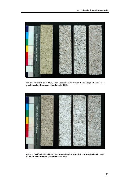 Die Anwendung von Calciumhydroxid-Sol als ... - icvbc