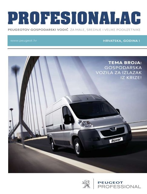 PROFESIONALAC - Peugeot