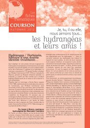 les hydrangÃ©as et leurs amis - Domaine de Courson