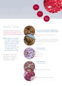 cleaner energy cleaner energy investments cases