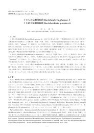 å¾®çç©éºä¼è³æºå©ç¨ããã¥ã¢ã« No.26 ã¤ããã¿æ¯ç´°èçè ...