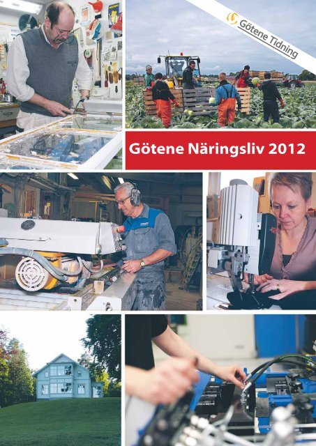 GÃ¶tene NÃ¤ringsliv 2012 - GÃ¶tene Tidning