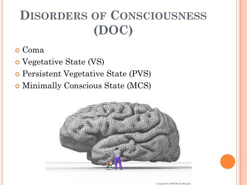 The Art and Science of Distinguishing Disorders of Consciousness