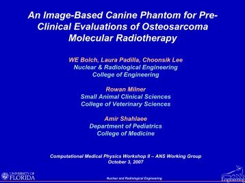 An Image-Based Canine Phantom for Pre - Computational Medical ...