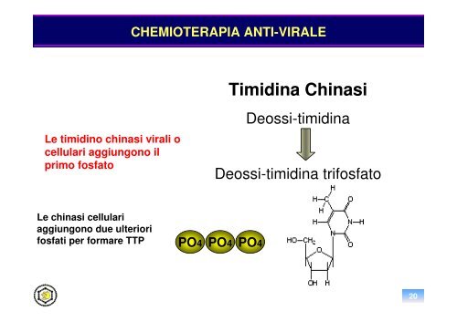 chemioterapia anti-virale - Sezione di Microbiologia