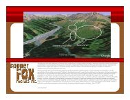 Copper Fox - Minerals North