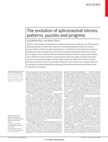 The evolution of spliceosomal introns: patterns, puzzles and progress
