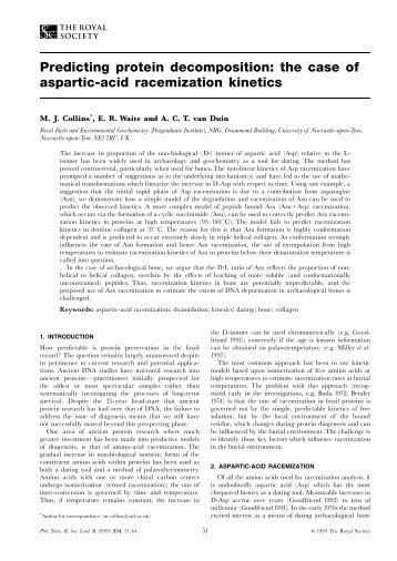 Amino Acid Racemization