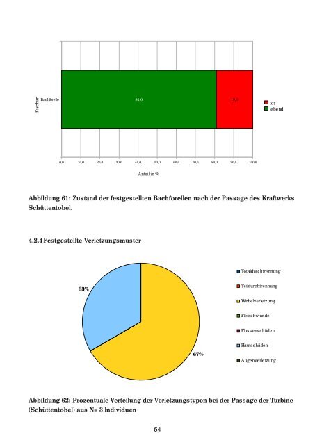 Kraftwerksuntersuchungen - Rettet die Ybbs-Äsche