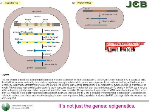 What Bioinformatics - Analyse und Management komplexer Systeme