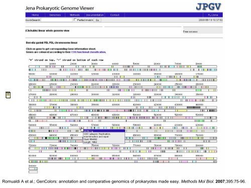 What Bioinformatics - Analyse und Management komplexer Systeme