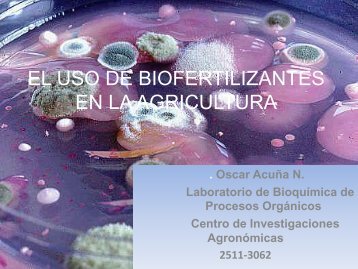 EL USO DE BIOFERTILIZANTES EN LA AGRICULTURA