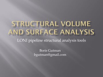 LONI pipeline structural analysis tools