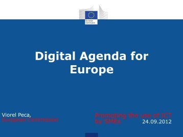 Digital Agenda for Europe - ERRIN Network
