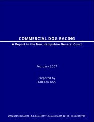 Report on Injuries in Racing Greyhounds (2005 ... - Grey2K USA