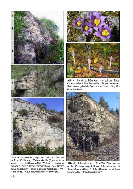 Geologische Streifzüge im Unstruttal zwischen Roßleben und ...